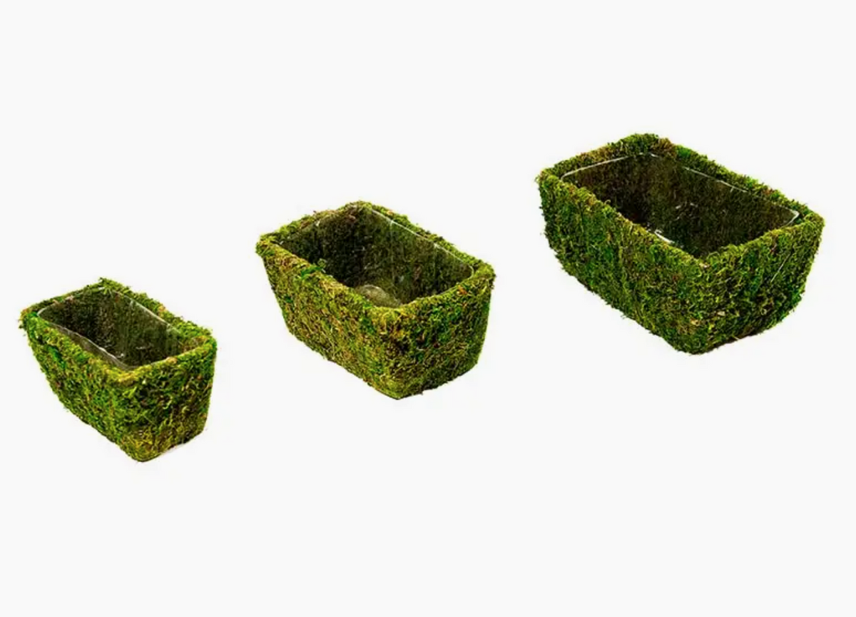 Moss Baskets Crooked Roots