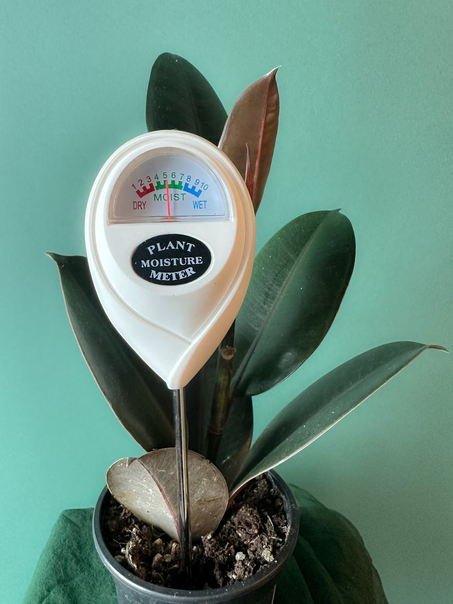 Moisture Meter – Crooked Roots